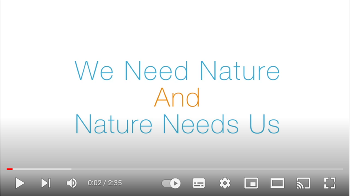 Screenshot of video