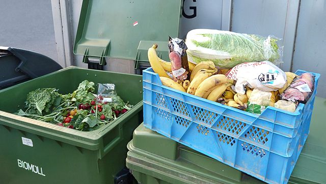 A box full of recovered vegetables and fruits dug out of the waste of a hypermarket