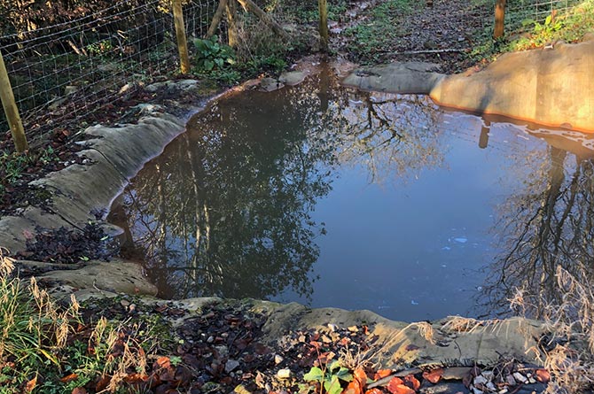 Ty Llwyd quarry