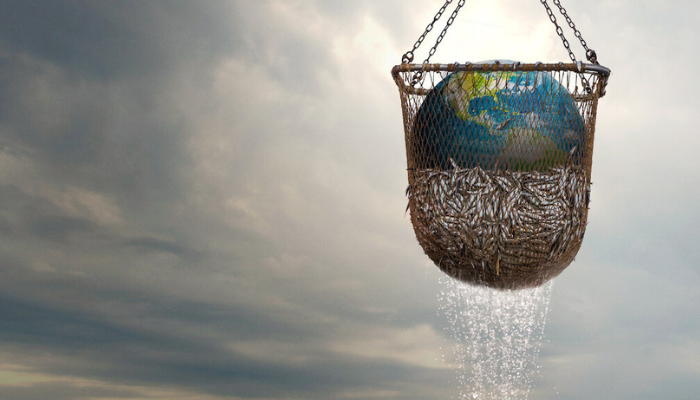 Image from Seaspiracy film