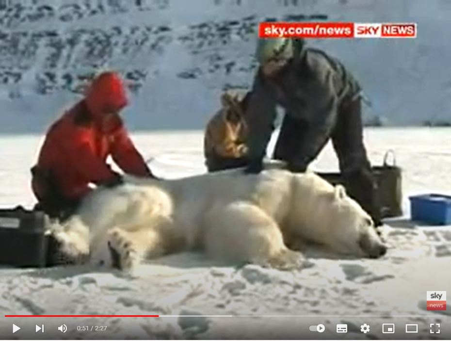 Screenshot of video