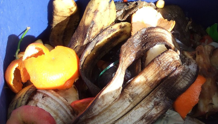 Picture of food waste