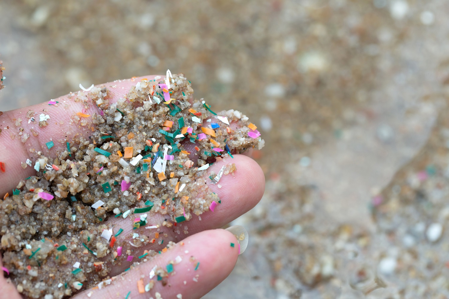 Picture of microplastics