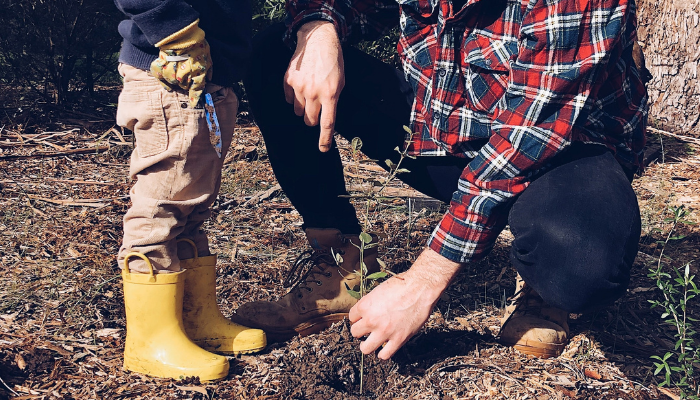 Man and boy planting tree