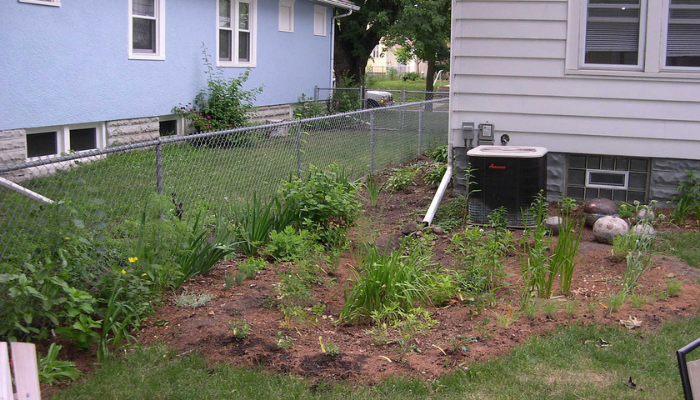 A rain garden in Minneapolis, USA in 2006 (CC BY-SA 4.0)