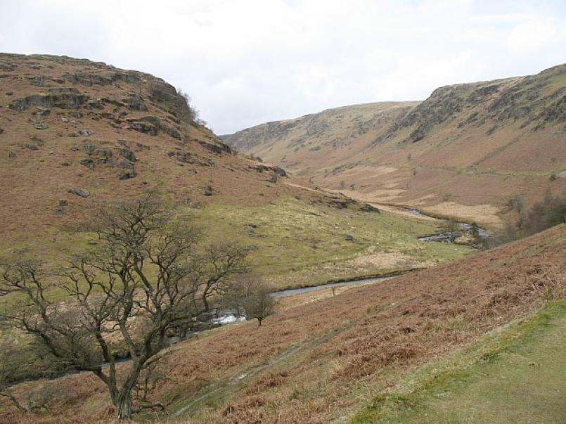 Peatland in Wales
