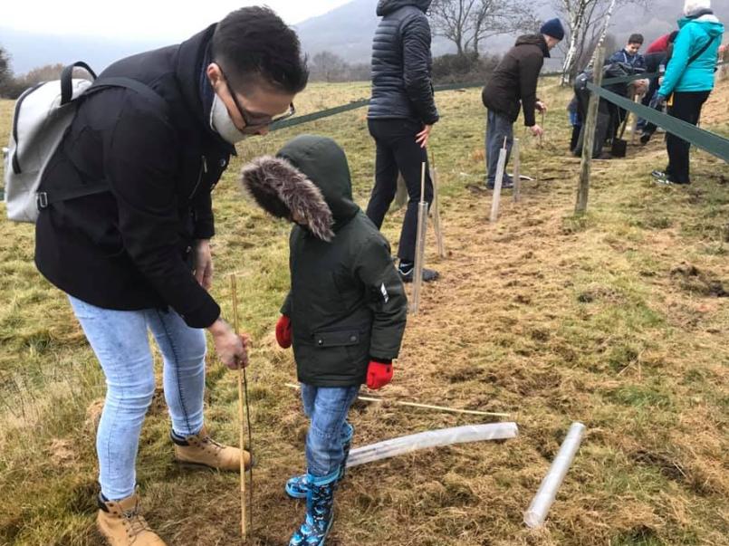 Tree planting in Caerphilly
