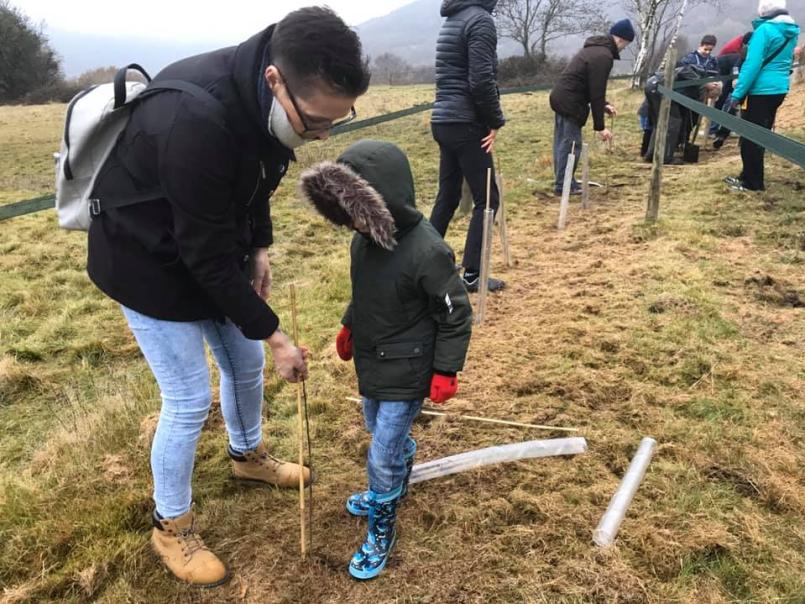 Mother and child tree planting