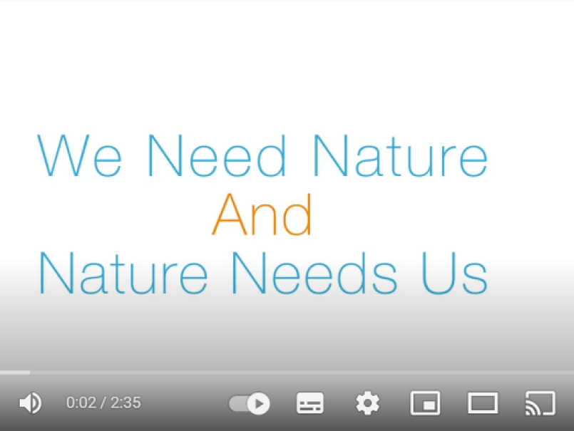Screenshot of video