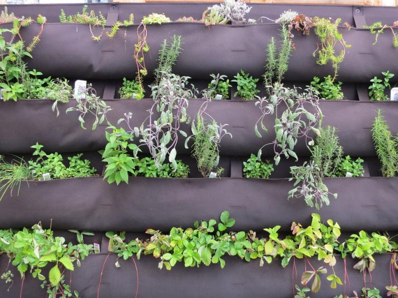 "Vertical gardening" by Ruth and Dave is licensed under CC BY 2.0