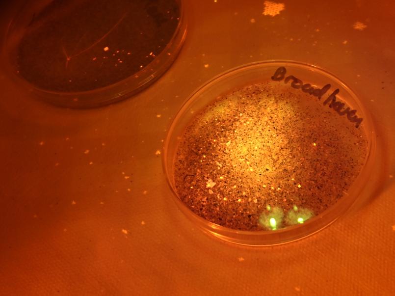 Microplastics image