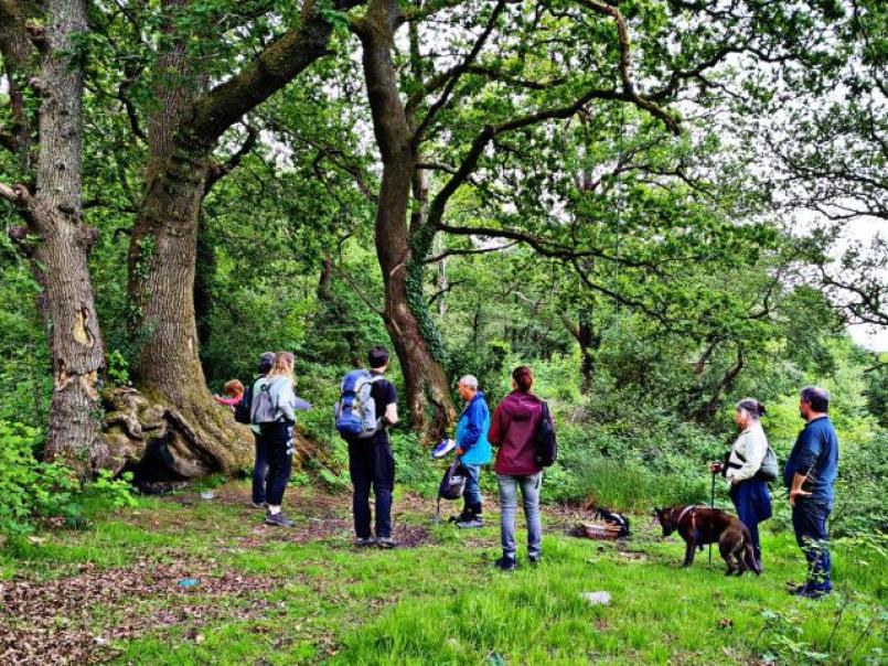 People doing a tree survey