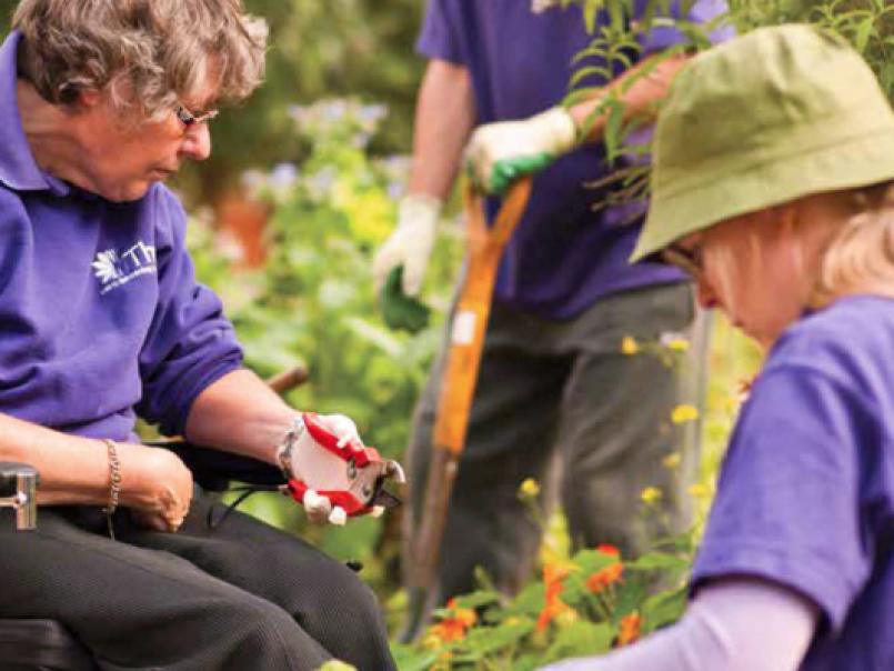 People gardening
