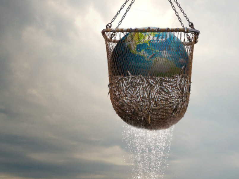 Image from Seaspiracy film