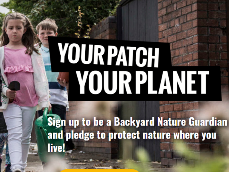 Backyard nature champion graphic from website