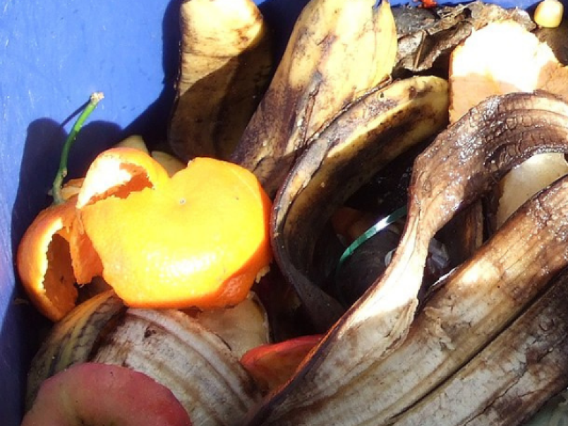 Food waste