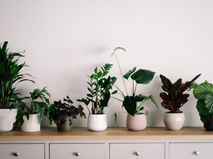 Photo by Annie Spratt on Unsplash