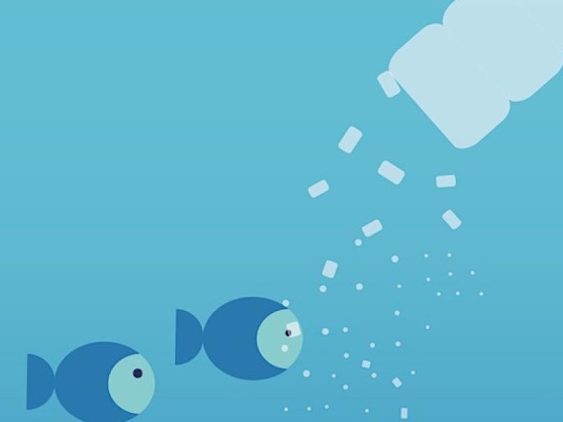 Graphic of a water bottle shedding tiny bits of plastic on to a fish