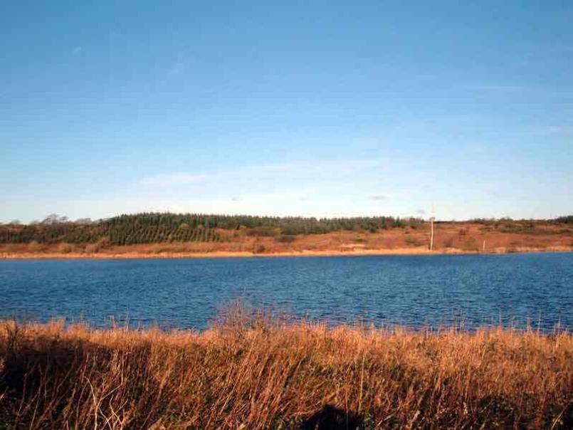 Picture of river