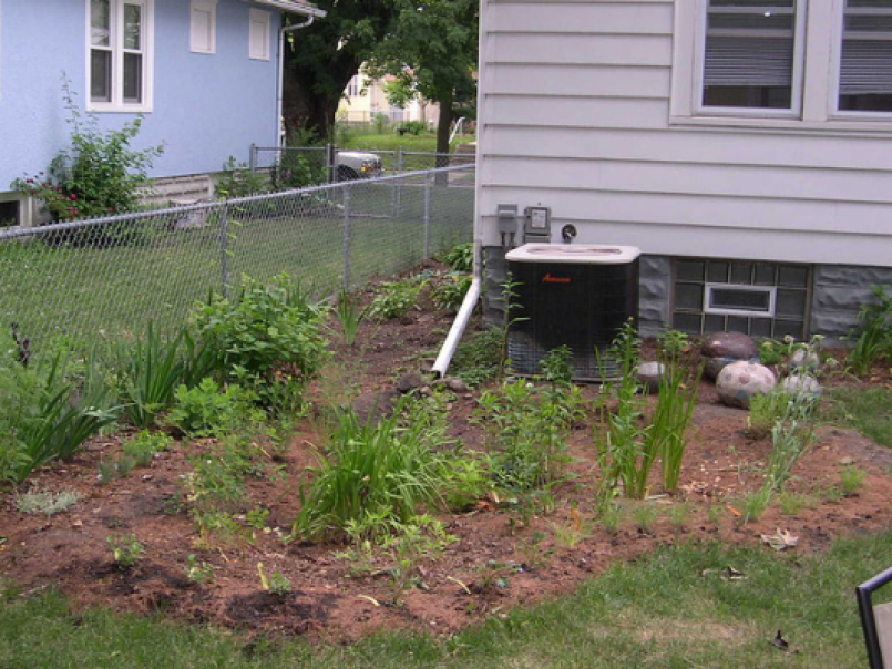 A rain garden in Minneapolis, USA in 2006