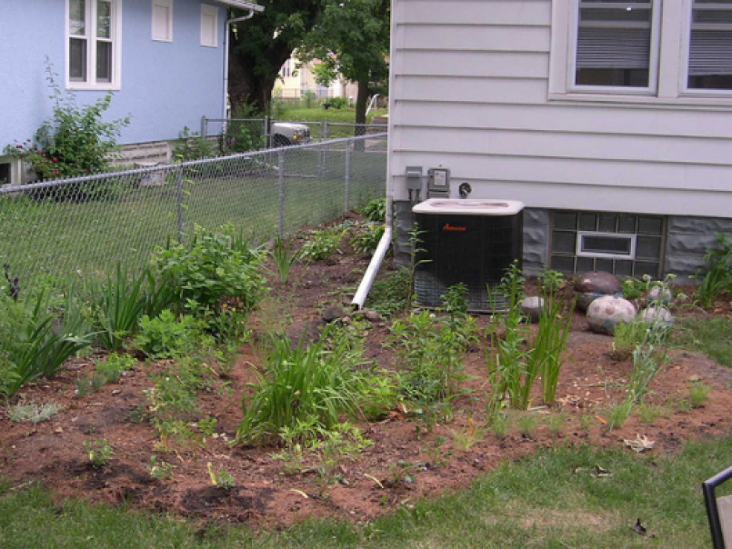 A rain garden in Minneapolis, USA in 2006