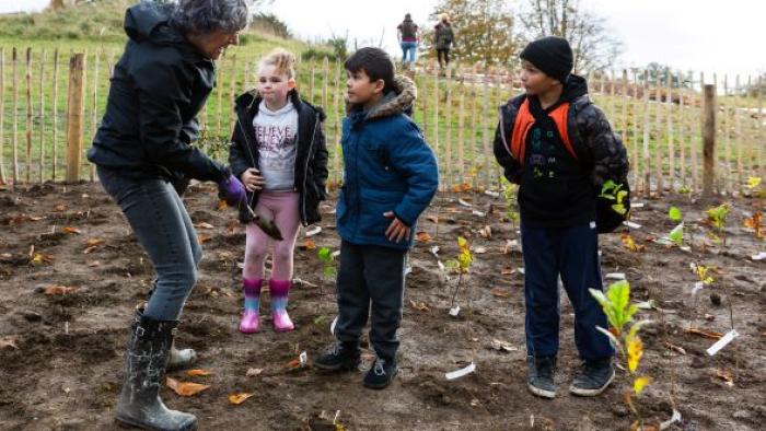 People planting Tiny Forest Caerffili
