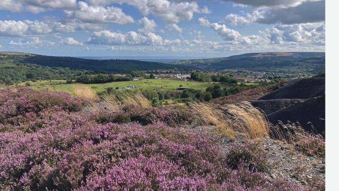 Carteg colliery site now by Tom Maloney