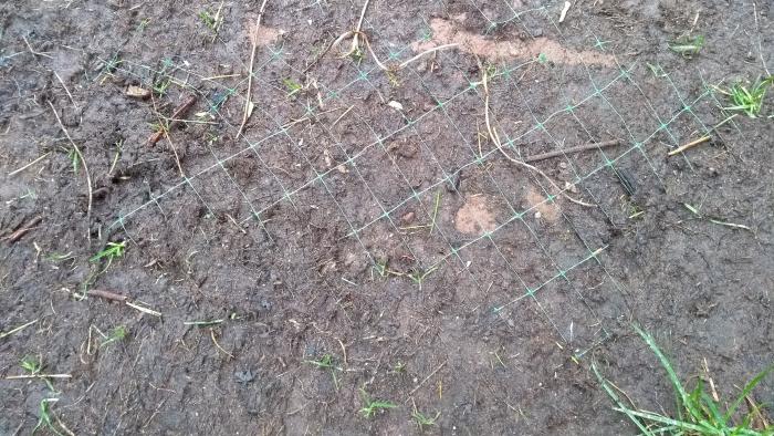 plastic netting in turf