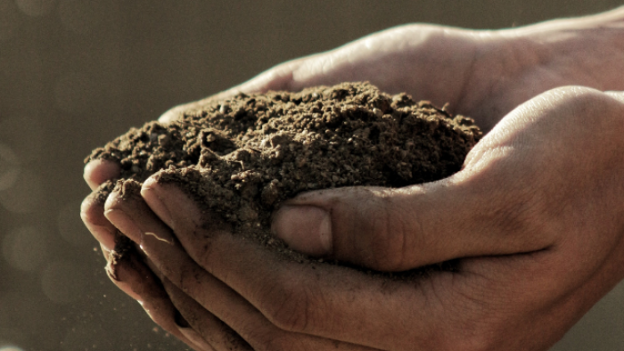 Soil in hand